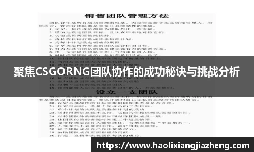 聚焦CSGORNG团队协作的成功秘诀与挑战分析